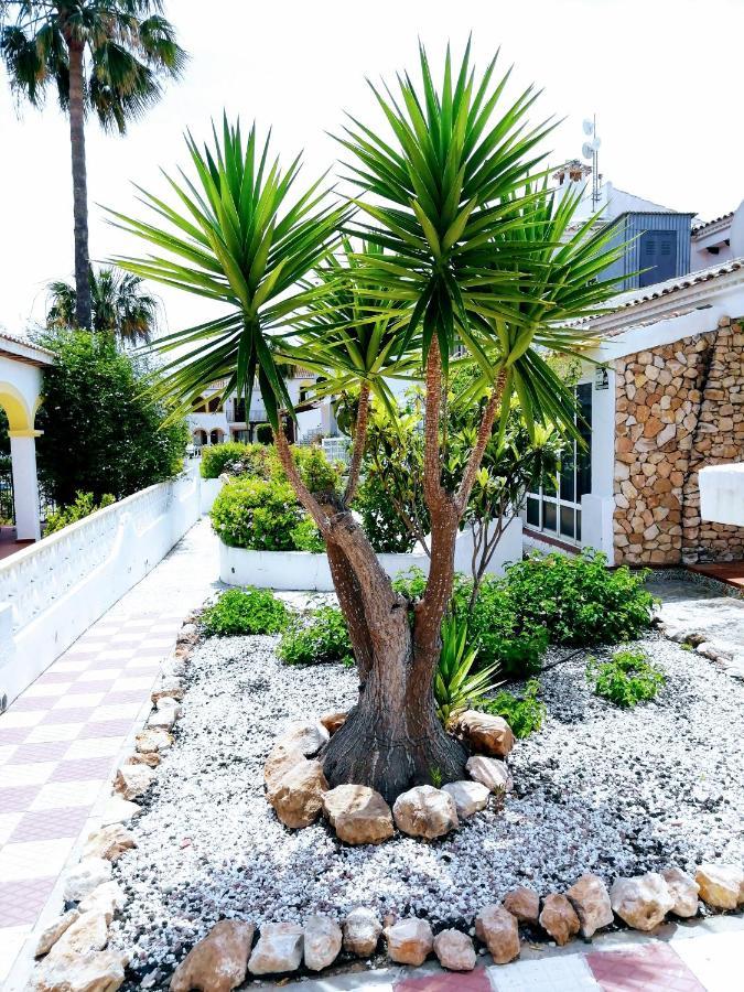 Bungalow De Vacaciones Torrevieja Kültér fotó